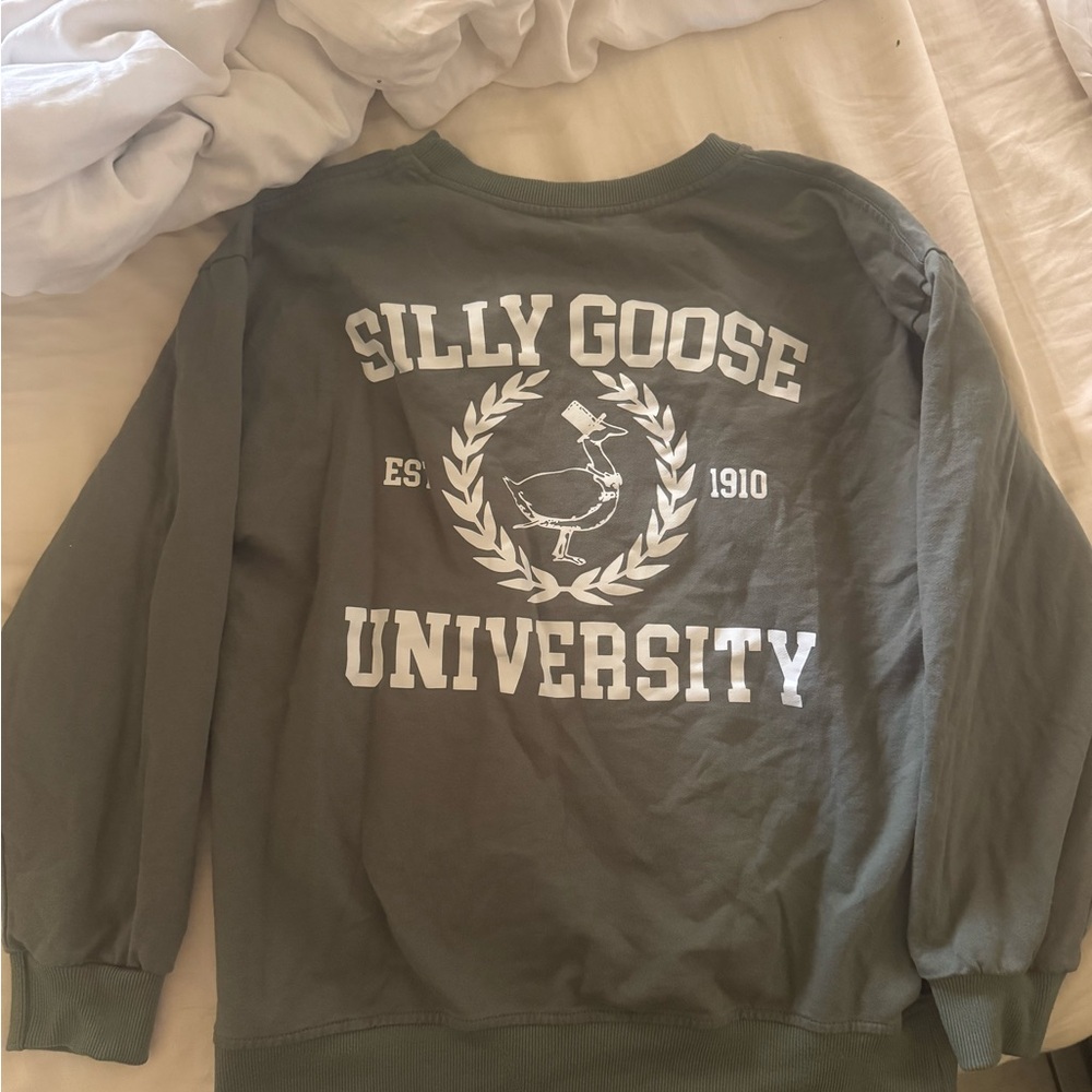 Green Sweater - silly goose - medium